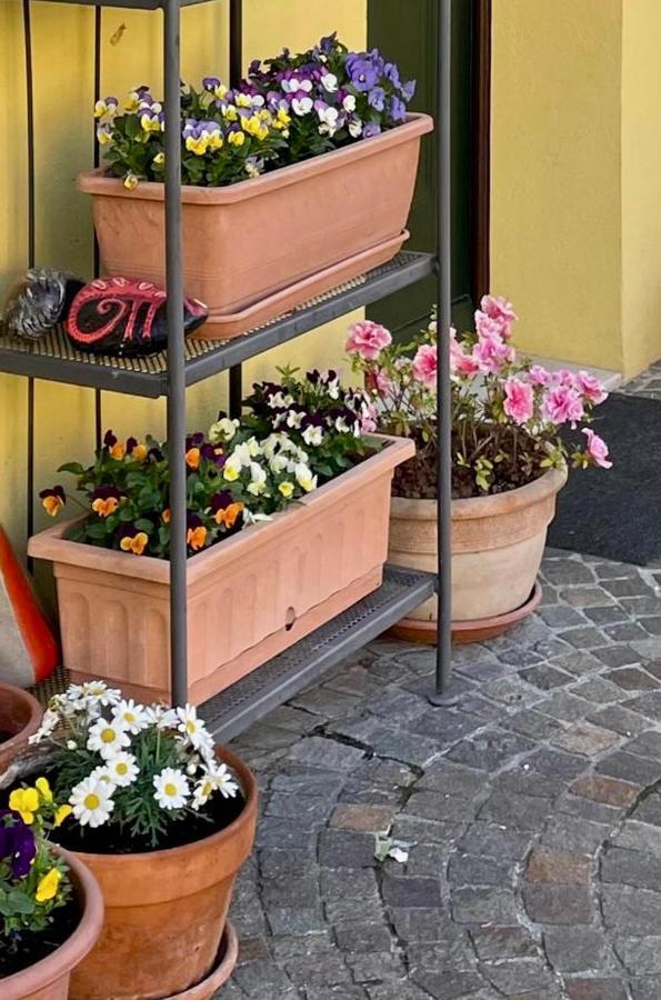 Ferienwohnung Casa Clara Torriana Exterior foto